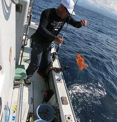 第二清洋丸 釣果