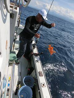 第二清洋丸 釣果