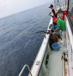 第二清洋丸 釣果