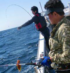 第二清洋丸 釣果