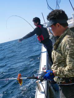 第二清洋丸 釣果