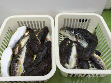 えさ政釣船店 釣果