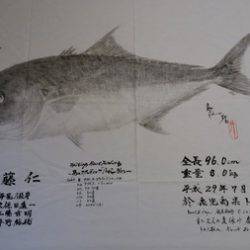 オーシャンパイオニア 釣果