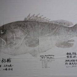 オーシャンパイオニア 釣果