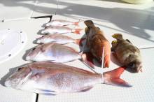 KIM Fishing Guide Ser…