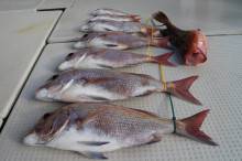 KIM Fishing Guide Ser…