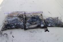 KIM Fishing Guide Ser…