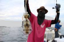 KIM Fishing Guide Service 釣果