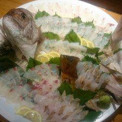 リトルワン 釣果