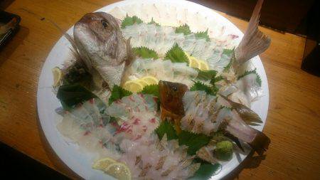 リトルワン 釣果