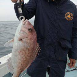 リトルワン 釣果