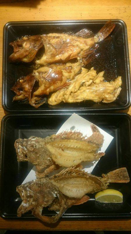 リトルワン 釣果