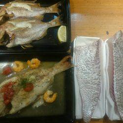 リトルワン 釣果