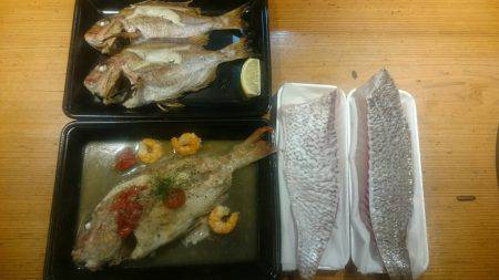 リトルワン 釣果