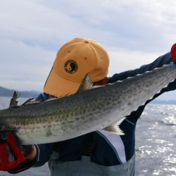 ジギング船 BLUEWATER 釣果