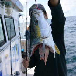 ジギング船 BLUEWATER 釣果