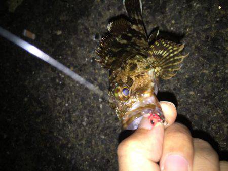 軽〜くゆる〜く