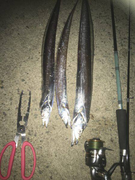 パターンは長めのフォール！もう一度言います…