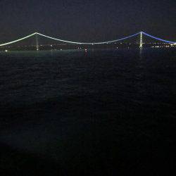 イカ調査&また行ってきました!