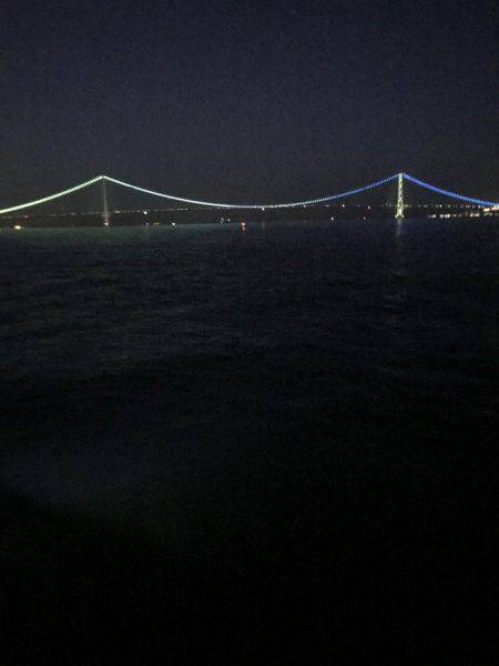 イカ調査&また行ってきました!