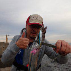 太刀魚釣りはやっぱり楽しい