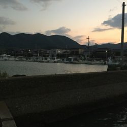 風が強いアジング