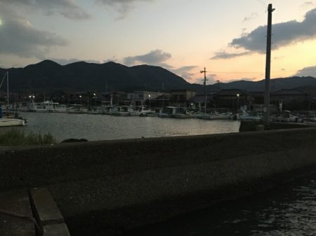 風が強いアジング