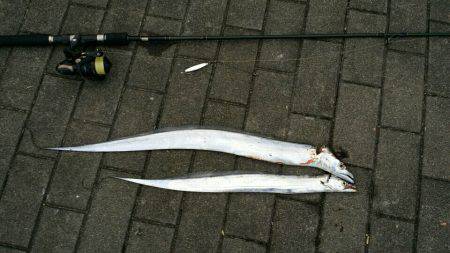 今日も来ちゃいました