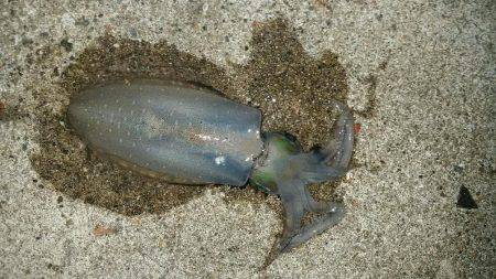 ちょっとマシ？