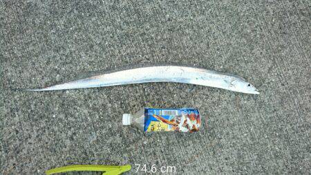 子供に負けた…