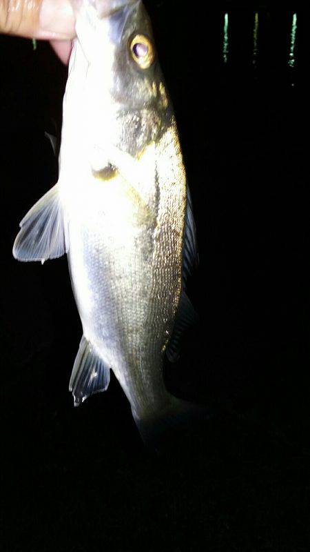 キミじゃないのよ