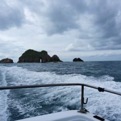 勝負になりません(^_^;)