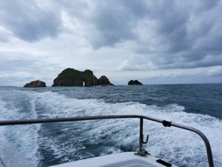 勝負になりません(^_^;)