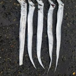 少しはマシになってきた♪(笑)