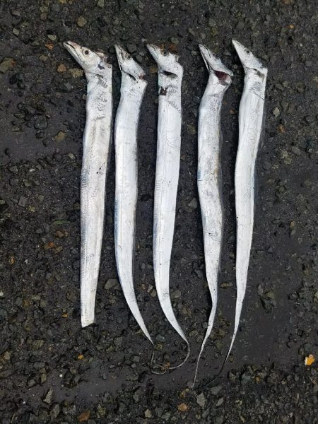 少しはマシになってきた♪(笑)