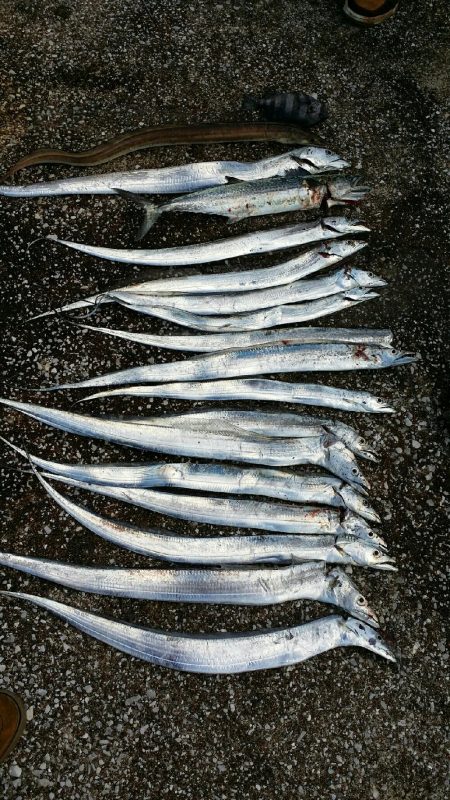 良い出来じゃないでしょうか？