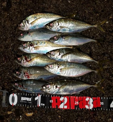 雨でも高活性！