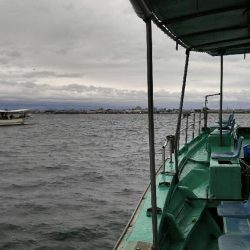 台風接近の中、名田屋で太刀魚