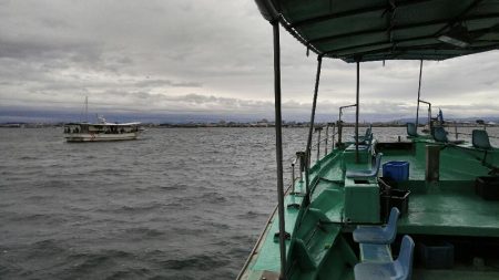 台風接近の中、名田屋で太刀魚