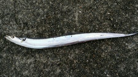 なんとかボーズは逃れたけど