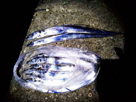 刀狩り！良型があがりました！