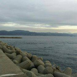 胴突きでカワハギ、穴からカニ