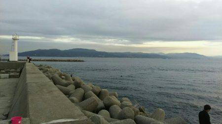 胴突きでカワハギ、穴からカニ