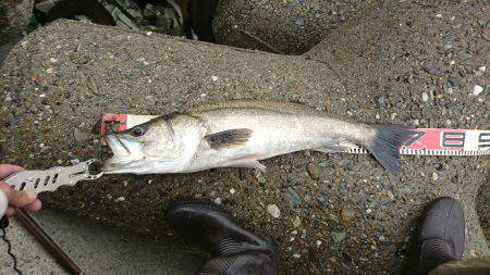 NEWロッド入魂完了♪