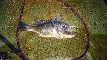 雨降りは素敵♪