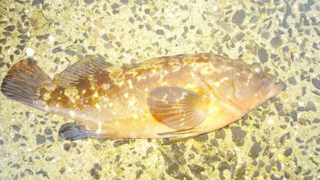 いつまでも釣れそう