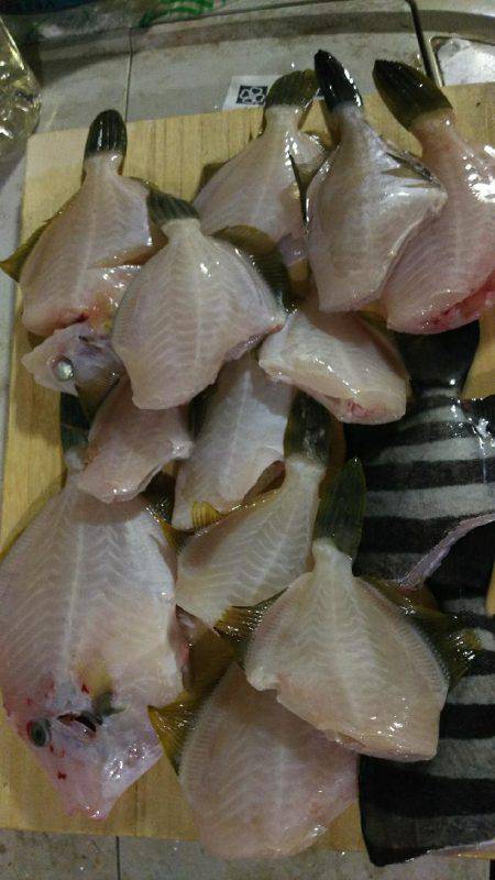 カワハギ釣れすぎ、食べきれない。