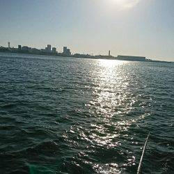 青物釣の予定が。