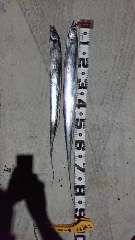 エロいピンクにかかりました。