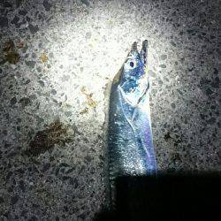 寄り道刀狩り！